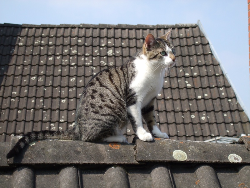 Ostern 2007 Orleshausen 136 